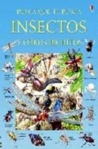 Busca que te Busca Insectos