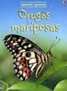 Orugas y Mariposas