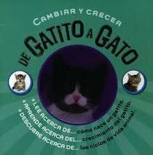 De Gatito a Gato. Crecer y Cambiar.