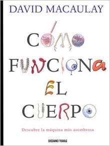 Cómo funciona el cuerpo
