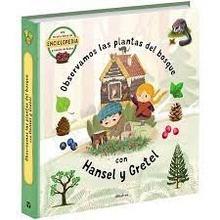 Plantas del bosque con hansel y gretel