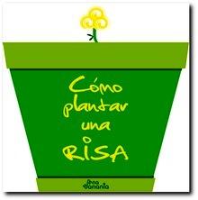 Cómo plantar una risa