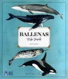 Ballenas. Vida secreta