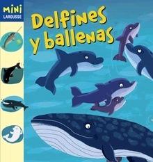 Delfines y Ballenas