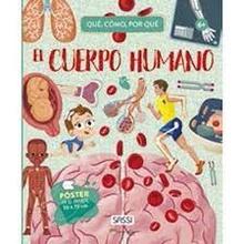 CUERPO HUMANO CUANDO COMO POR QUE
