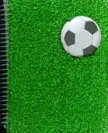 9788424620554 Locos por el Futbol