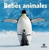 Bebes Animales