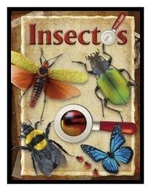 Insectos