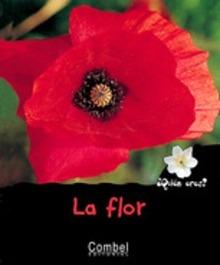 Flor
