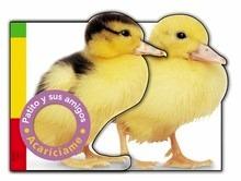 Patito y sus Amigos