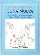 Luna Nueva