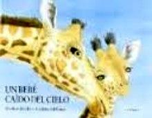 Un Bebé Caído del Cielo