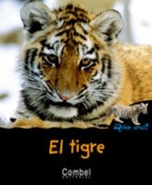 Tigre