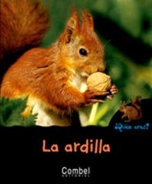 Ardilla la