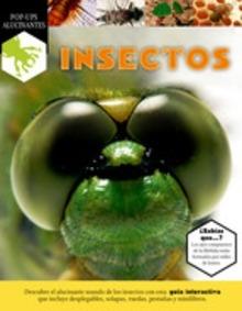 Insectos