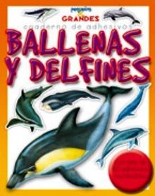 Ballenas y Delfines