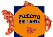 Pececito Brillante