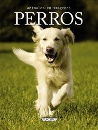 Perros